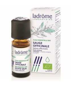 Sauge officinale (Salvia officinalis)